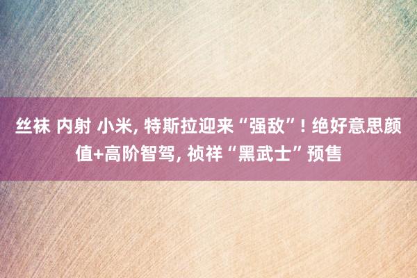 丝袜 内射 小米， 特斯拉迎来“强敌”! 绝好意思颜值+高阶智驾， 祯祥“黑武士”预售