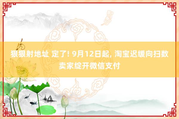 狠狠射地址 定了! 9月12日起， 淘宝迟缓向扫数卖家绽开微信支付