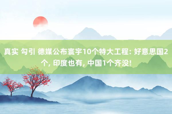 真实 勾引 德媒公布寰宇10个特大工程: 好意思国2个， 印度也有， 中国1个齐没!