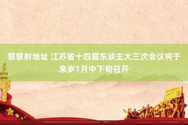 狠狠射地址 江苏省十四届东谈主大三次会议将于来岁1月中下旬召开