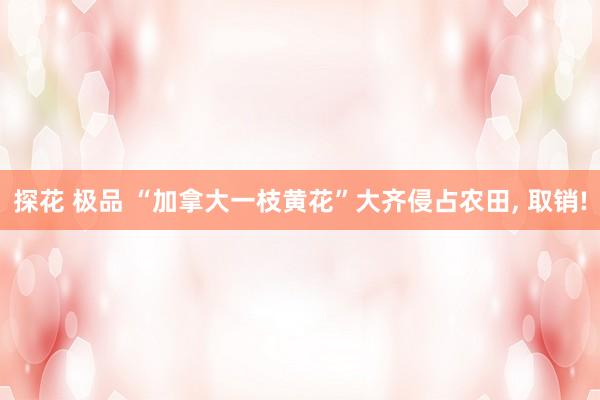 探花 极品 “加拿大一枝黄花”大齐侵占农田， 取销!