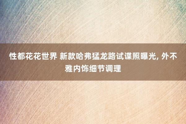 性都花花世界 新款哈弗猛龙路试谍照曝光， 外不雅内饰细节调理